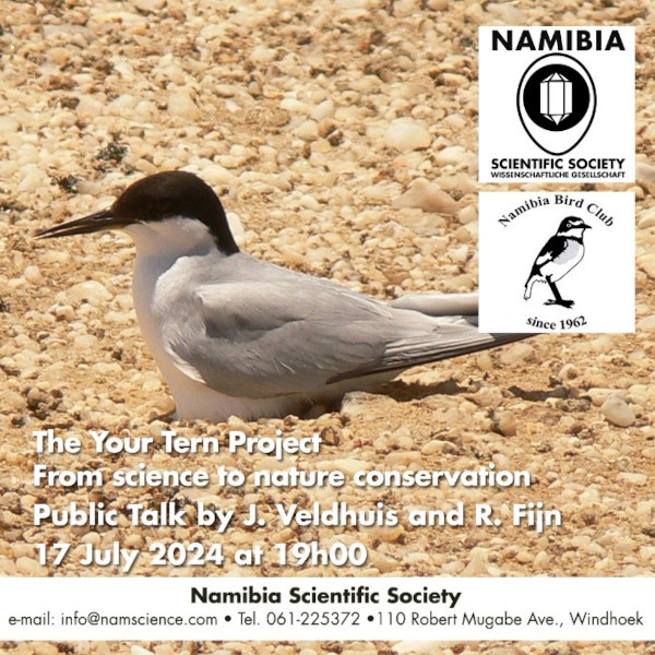 Poster for talk on Your Tern Project